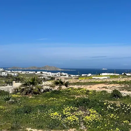 Aretousa In Naoussa, Paros