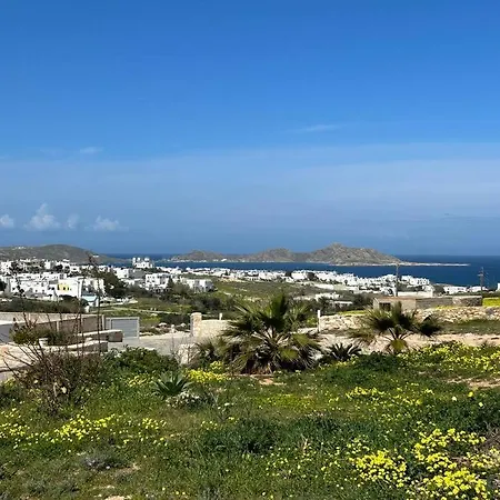 Aretousa In Naoussa, Paros 纳乌萨